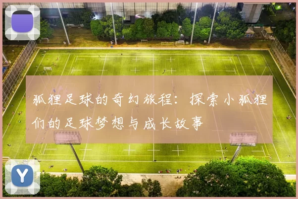 狐狸足球的奇幻旅程：探索小狐狸们的足球梦想与成长故事