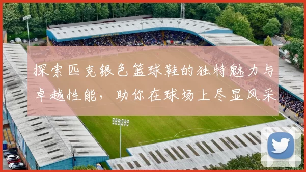 探索匹克银色篮球鞋的独特魅力与卓越性能，助你在球场上尽显风采