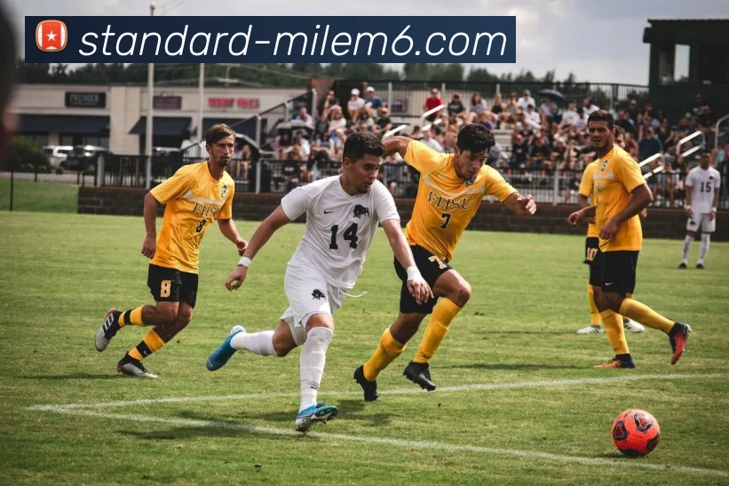 米乐体育M6全站App